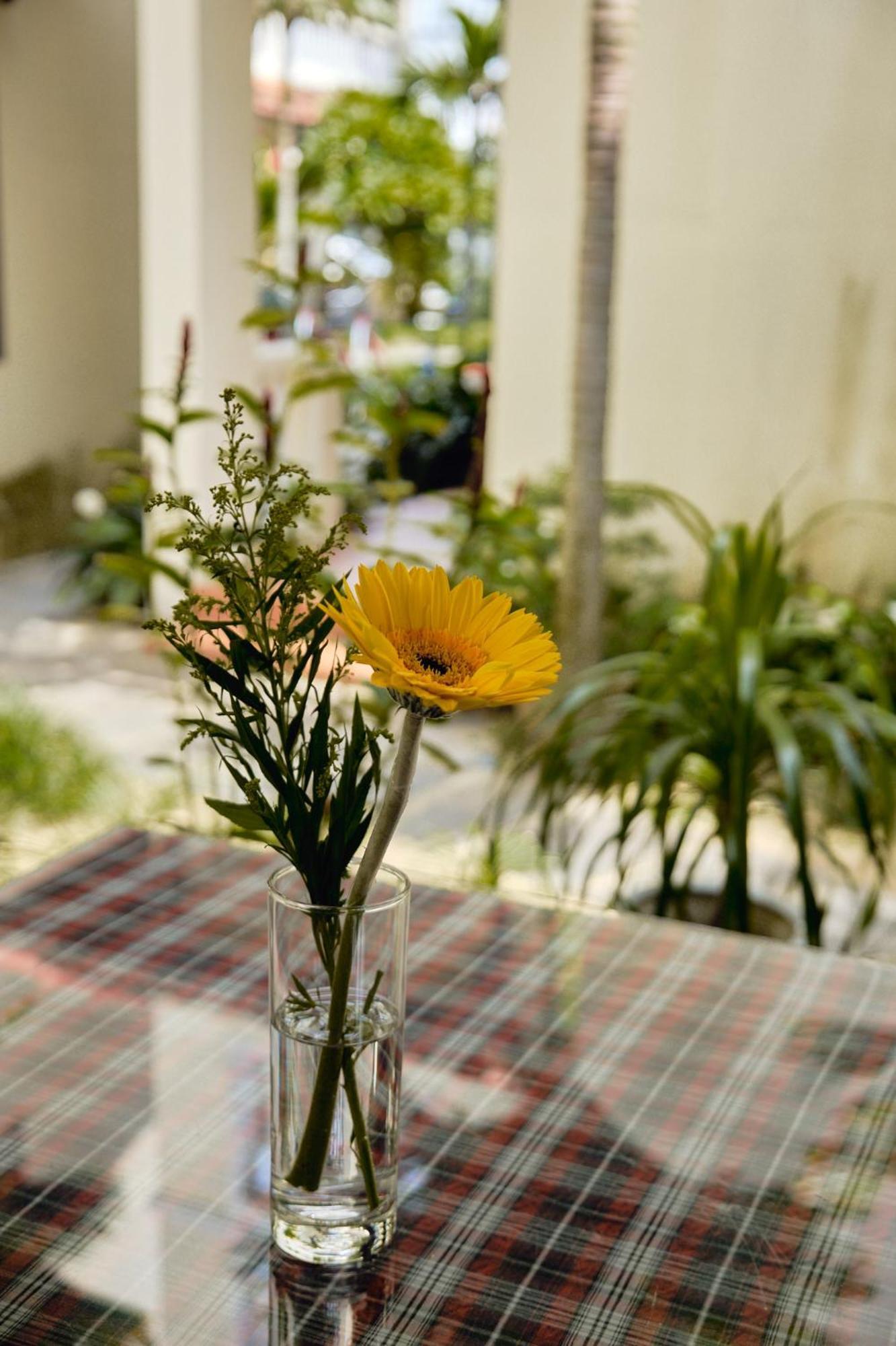 Hoi An Holiday Villa Bagian luar foto